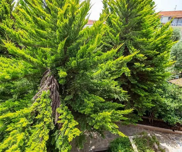 Appartement Irene Nea Moudania