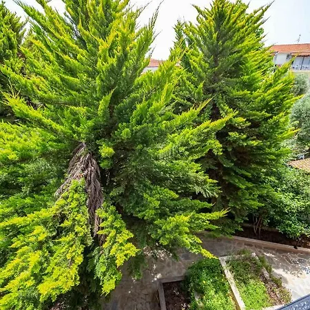 Apartment Irene Nea Moudania